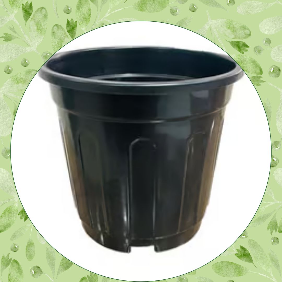6 Inch Black Super Nursery Pot