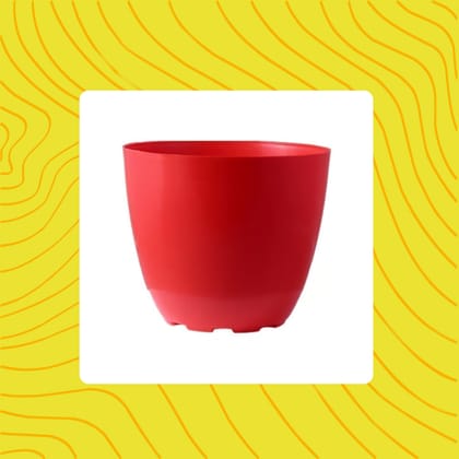 Free Gift - 4 Inch Red Premium Orchid Round Plastic Pot - Flash Sale
