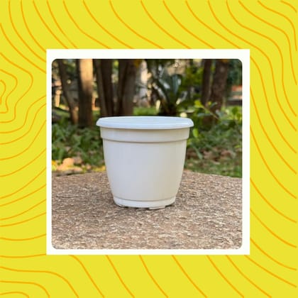Free Gift - 3 Inch Cloudy White Elora Premium Plastic Planter - Flash Sale