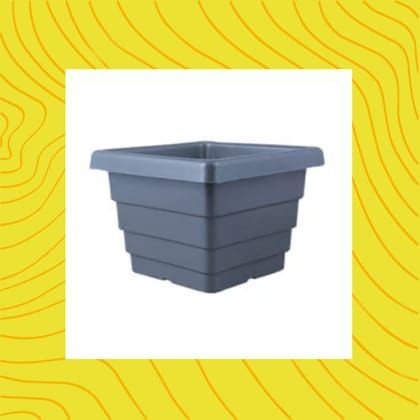 Free Gift - 4 Inch Grey Premium Orchid Square Plastic Pot - Flash Sale