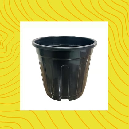 Free Gift - 6 Inch Black Super Nursery Pot - Flash Sale
