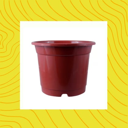 Free Gift - 4 Inch Red Nursery Pot - Flash Sale