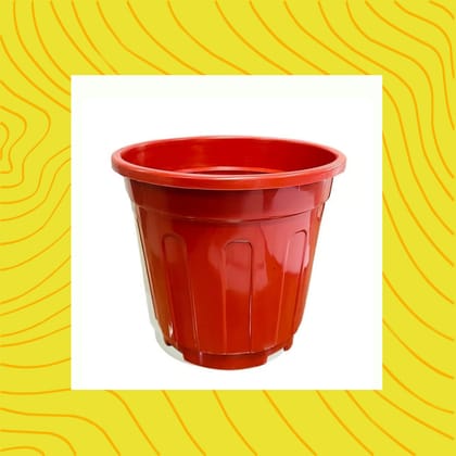 Free Gift - 6 Inch Red Super Nursery Pot - Flash Sale