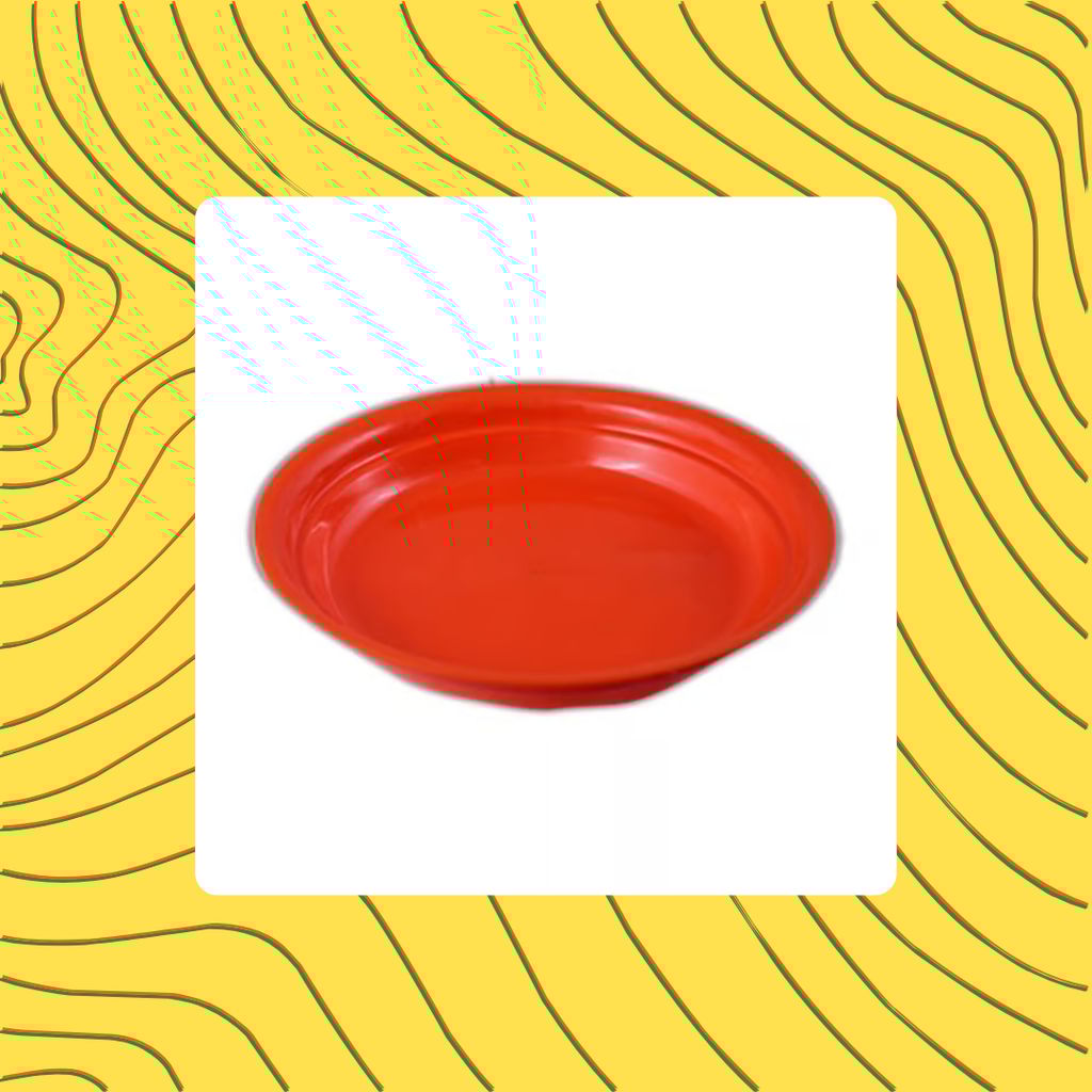 Free Gift - 5.5 Inch Terracotta Red Premium Round Trays - To keep under the Pots - Flash Sale Free Gift - 5.5 Inch Terracotta Red Premium Round Trays - To keep under the Pots - Flash Sale