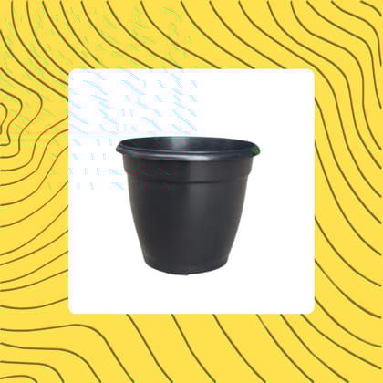Free Gift - 4 Inch Cloudy Black Elora Premium Plastic Planter - Flash Sale