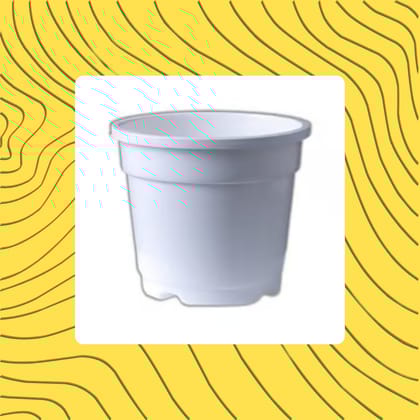 Free Gift - 4 Inch White Nursery Pot - Flash Sale