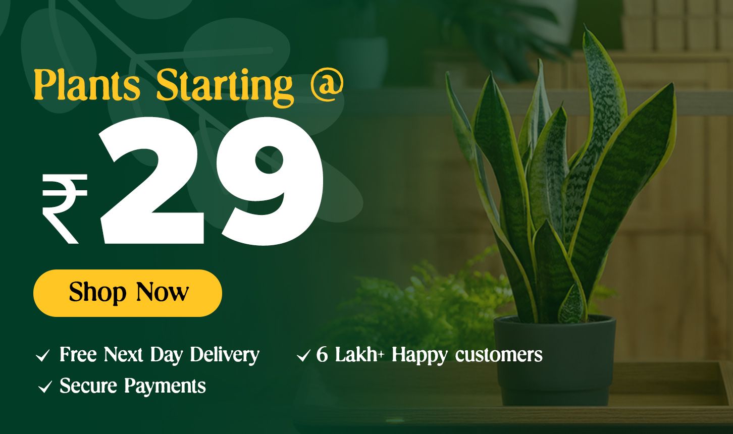 All plants