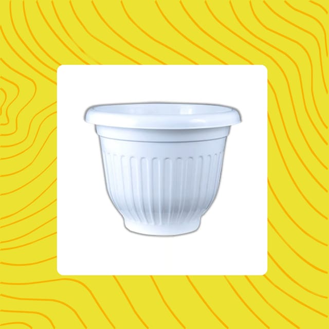Free Gift - 8 Inch White Olive Plastic Pot - Flash Sale