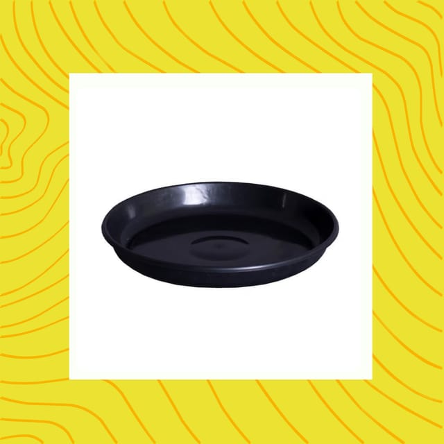Free Gift - 6 Inch Black Premium Black Tray - To keep under the Pot - Flash Sale