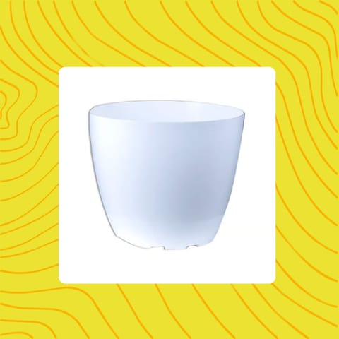 Free Gift - 4 Inch White Premium Orchid Round Plastic Pot - Flash Sale