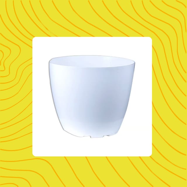 Free Gift - 4 Inch White Premium Orchid Round Plastic Pot - Flash Sale