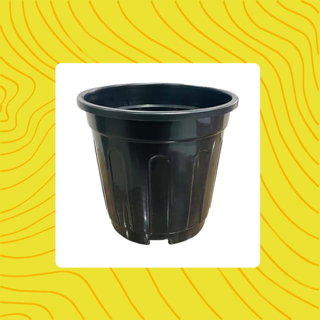 Free Gift - 6 Inch Black Super Nursery Pot - Flash Sale