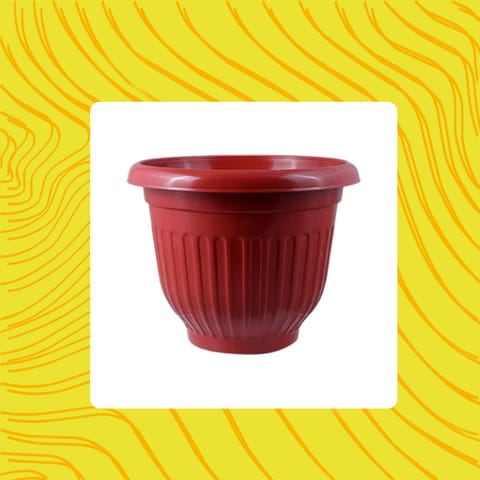 Free Gift - 8 Inch Terracotta Red Olive Plastic Pot - Flash Sale