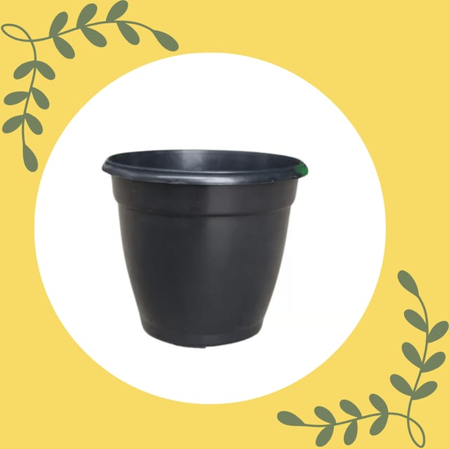 Free Gift - 3 Inch Ruby Black Elora Premium Plastic Planter - Flash Sale