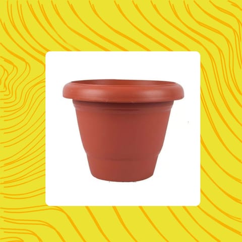Free Gift - 8 Inch Terracotta Red Classy Plastic Pot - Flash Sale