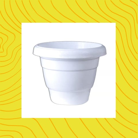 Free Gift - 8 Inch White Classy Plastic Pot - Flash Sale