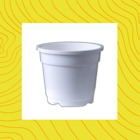 Free Gift - 4 Inch white Nursery Pot - Flash Sale