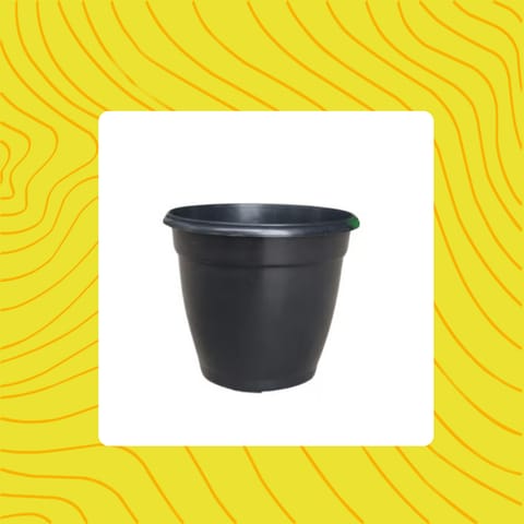 Free Gift - 3 Inch Ruby Black Elora Premium Plastic Planter - Flash Sale