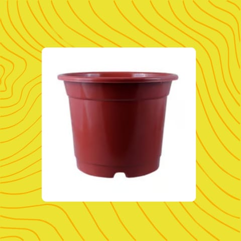 Free Gift - 4 Inch Red Nursery Pot - Flash Sale