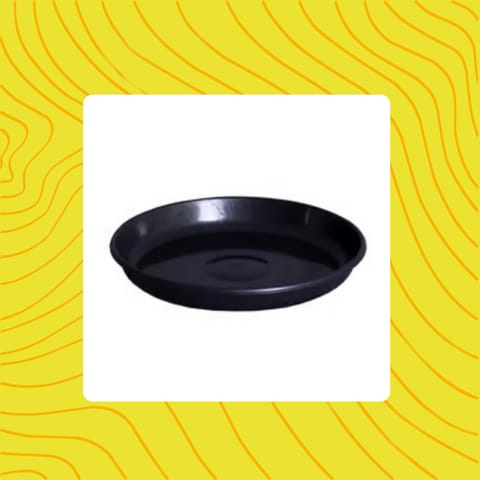 Free Gift - 6 Inch Black Premium Black Tray - To keep under the Pot - Flash Sale