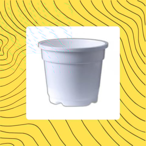 Free Gift - 4 Inch White Nursery Pot - Flash Sale