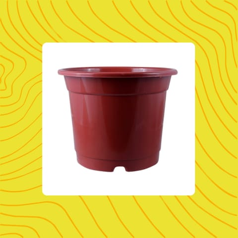 Free Gift - 4 Inch Red Nursery Pot - Flash Sale