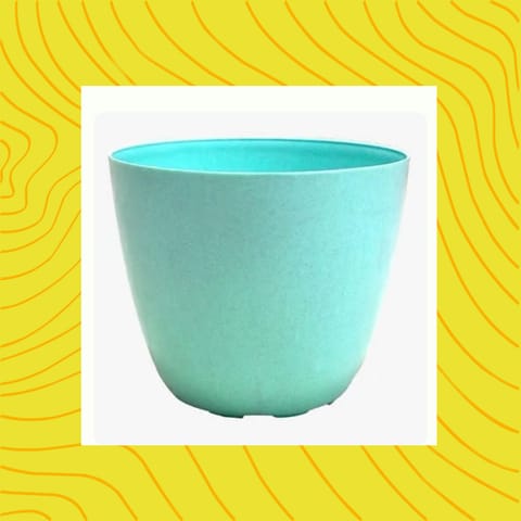 Free Gift - 4 Inch Blue Marble Premium Orchid Round Plastic Pot - Flash Sale
