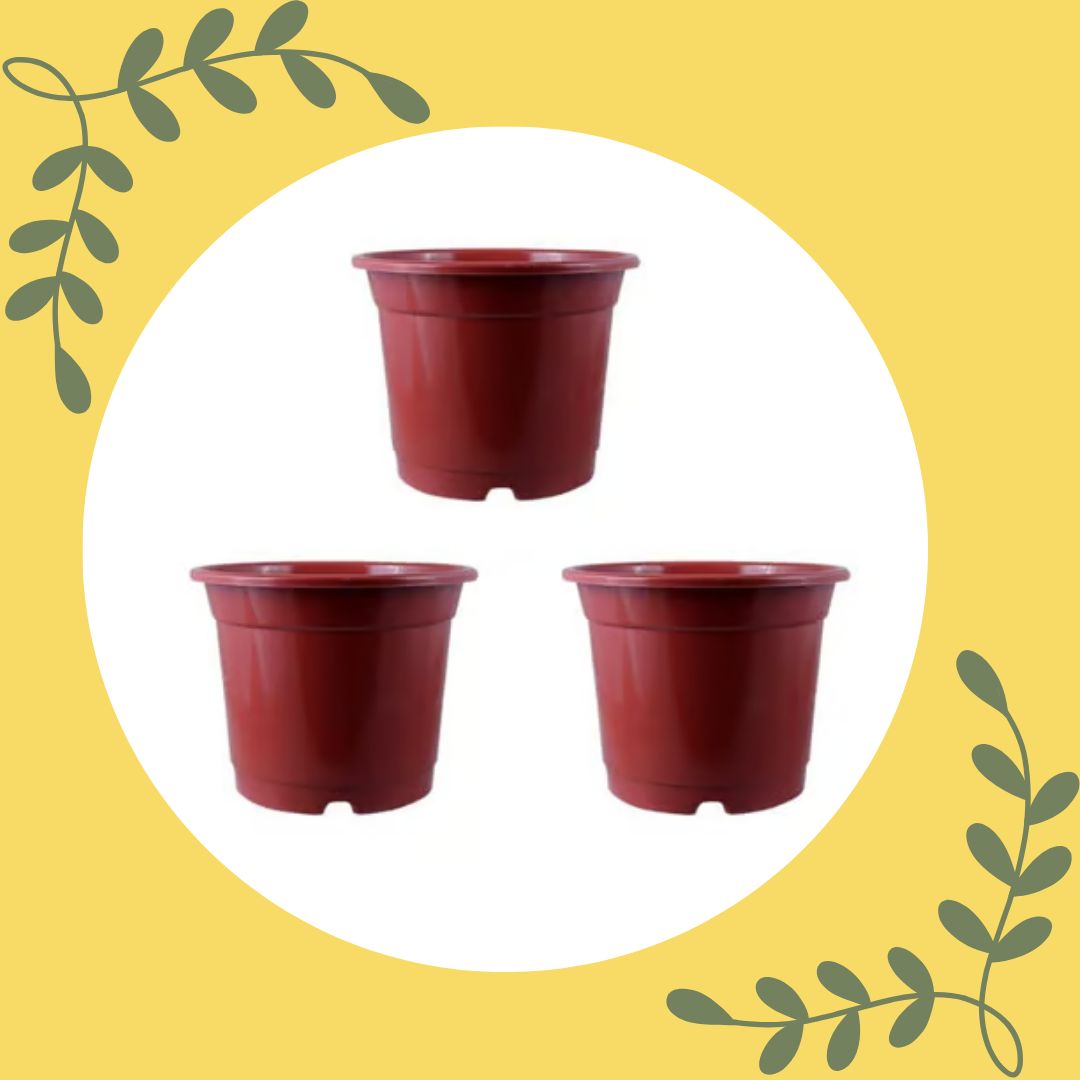 Free Gift - Set of 03 - 4 Inch Red Nursery Pot - Flash Sale