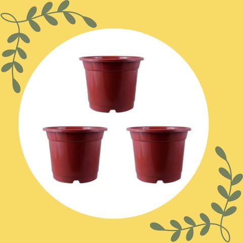 Free Gift - Set of 03 - 4 Inch Red Nursery Pot - Flash Sale