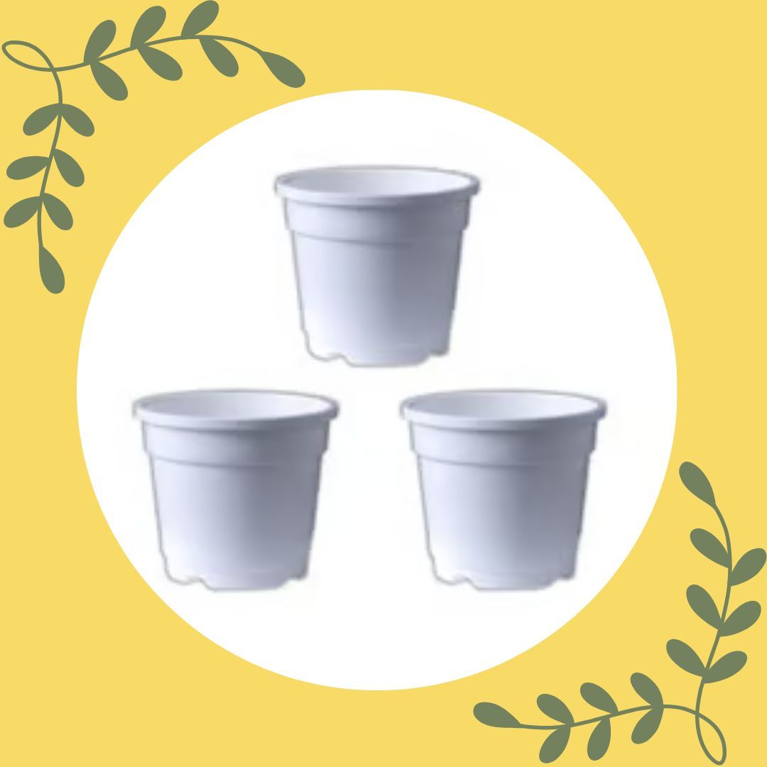Set of 03 - 4 Inch White Nursery Pot