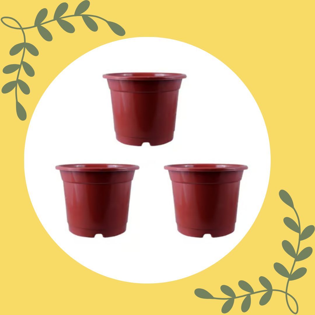 Set of 03 - 4 Inch Red Nursery Pot