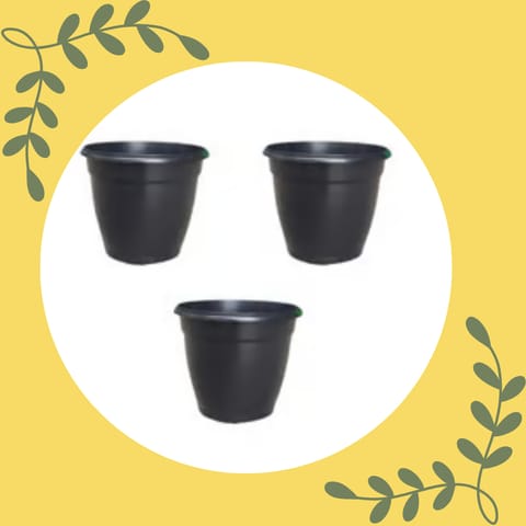 Free Gift - Set of 3 - 3 Inch Ruby Black Elora Premium Plastic Planter Flash Sale