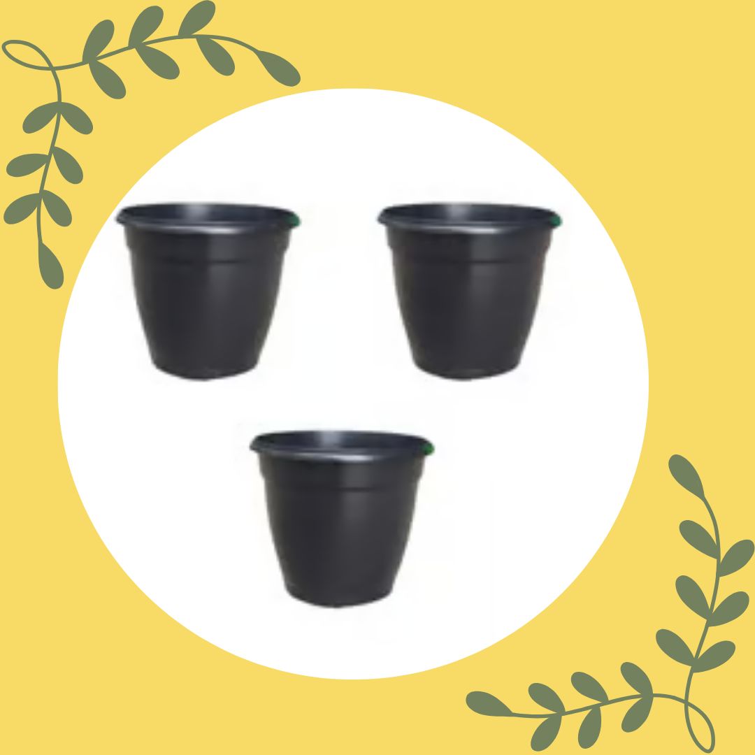 Free Gift - Set of 3 - 3 Inch Ruby Black Elora Premium Plastic Planter Flash Sale