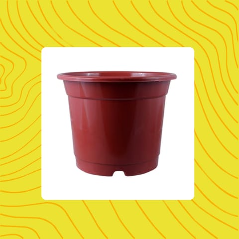 Free Gift - 4 Inch Red Nursery Pot - Flash Sale