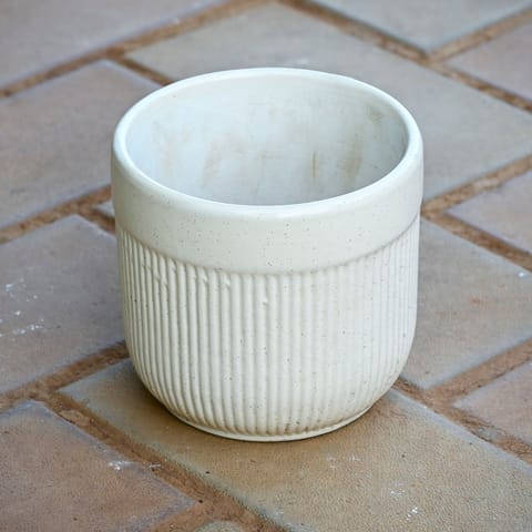 5 Inch Classy White Regal Glass Ceramic Pot (any design) in 4 Inch Ceramic Pot