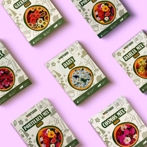 Set of 12 - Assorted Flower Seeds - GMO Free | Excellent Germination | Easy to Grow | Vibrant Blooms