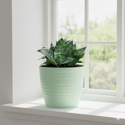 Snake Dwarf Green in 5 Inch Pastel Green Avora Premium Plastic Planter