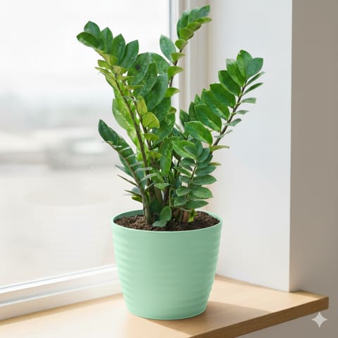 Zz Green in 5 Inch Pastel Green Avora Premium Plastic Planter