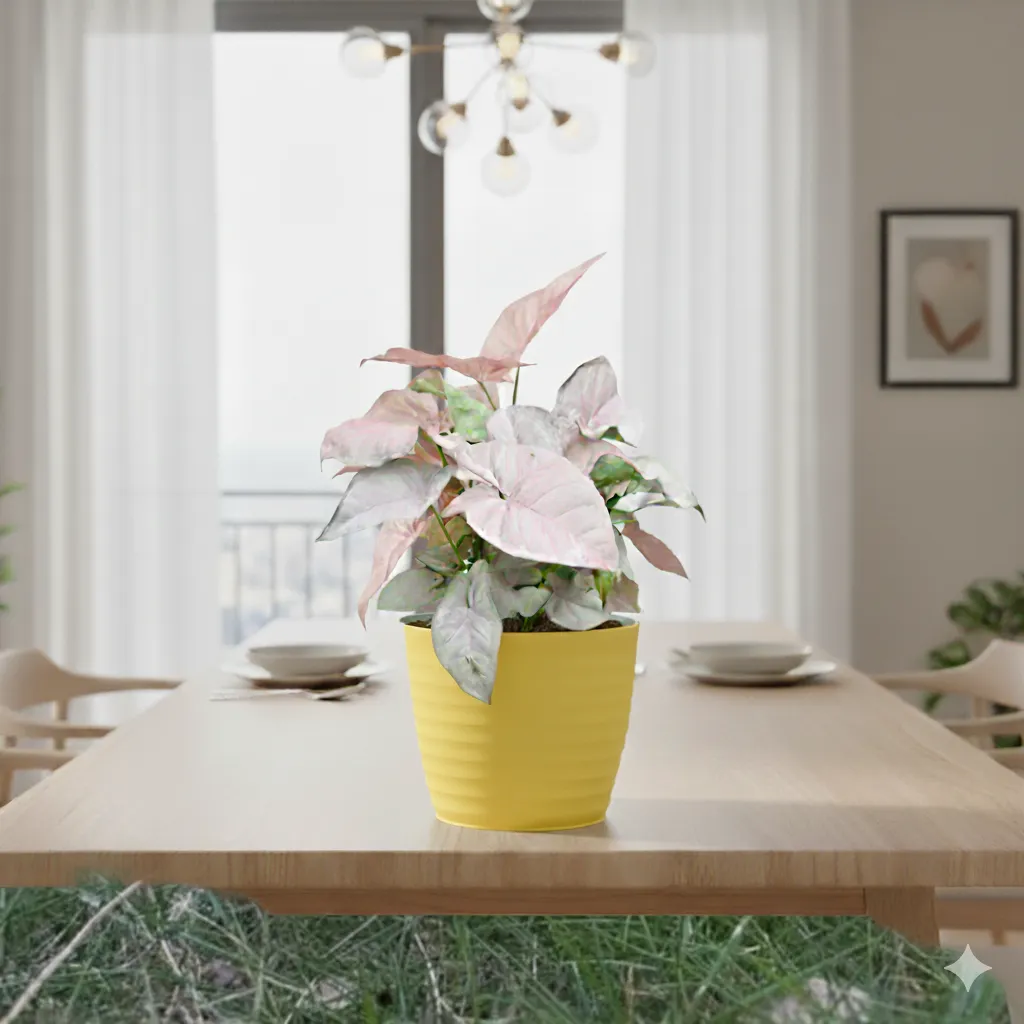 Syngonium Pink in 5 Inch Bloom Yellow Avora Premium Plastic Planter