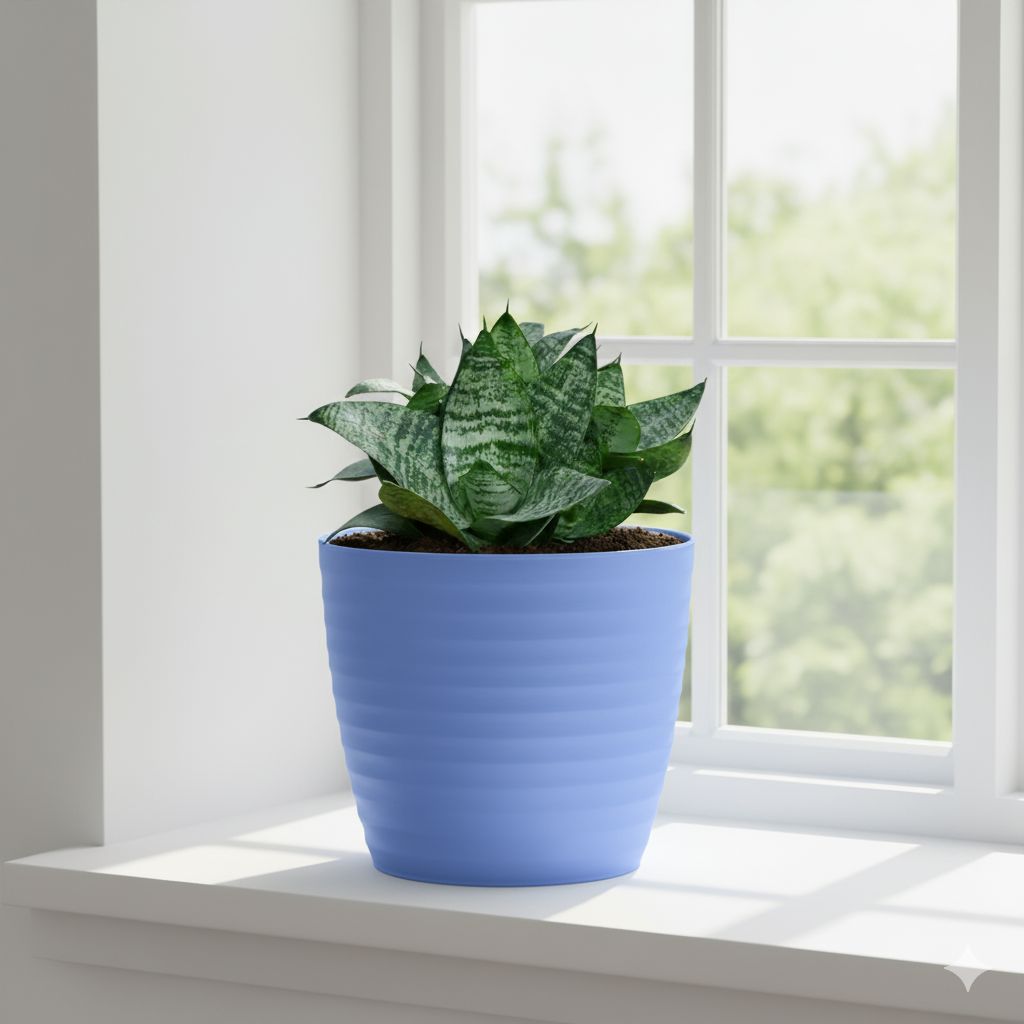 Snake Dwarf Green  in 5 Inch Elvan Blue Avora Premium Plastic Planter