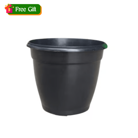Free Gift - 3 Inch Ruby Black Elora Premium Plastic Planter - Flash Sale