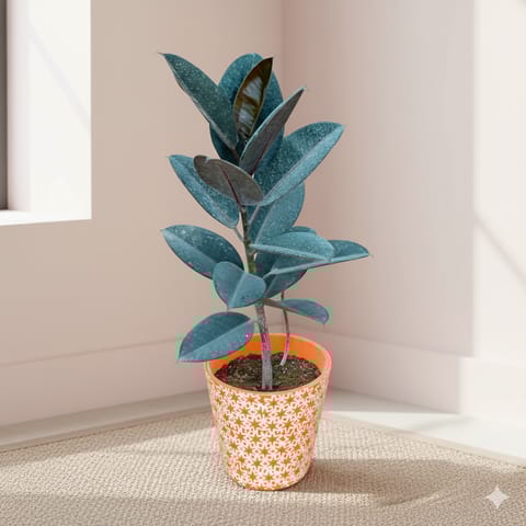 Rubber Black in 8 Inch Balti Ceramic Pot (any colour) (any design)