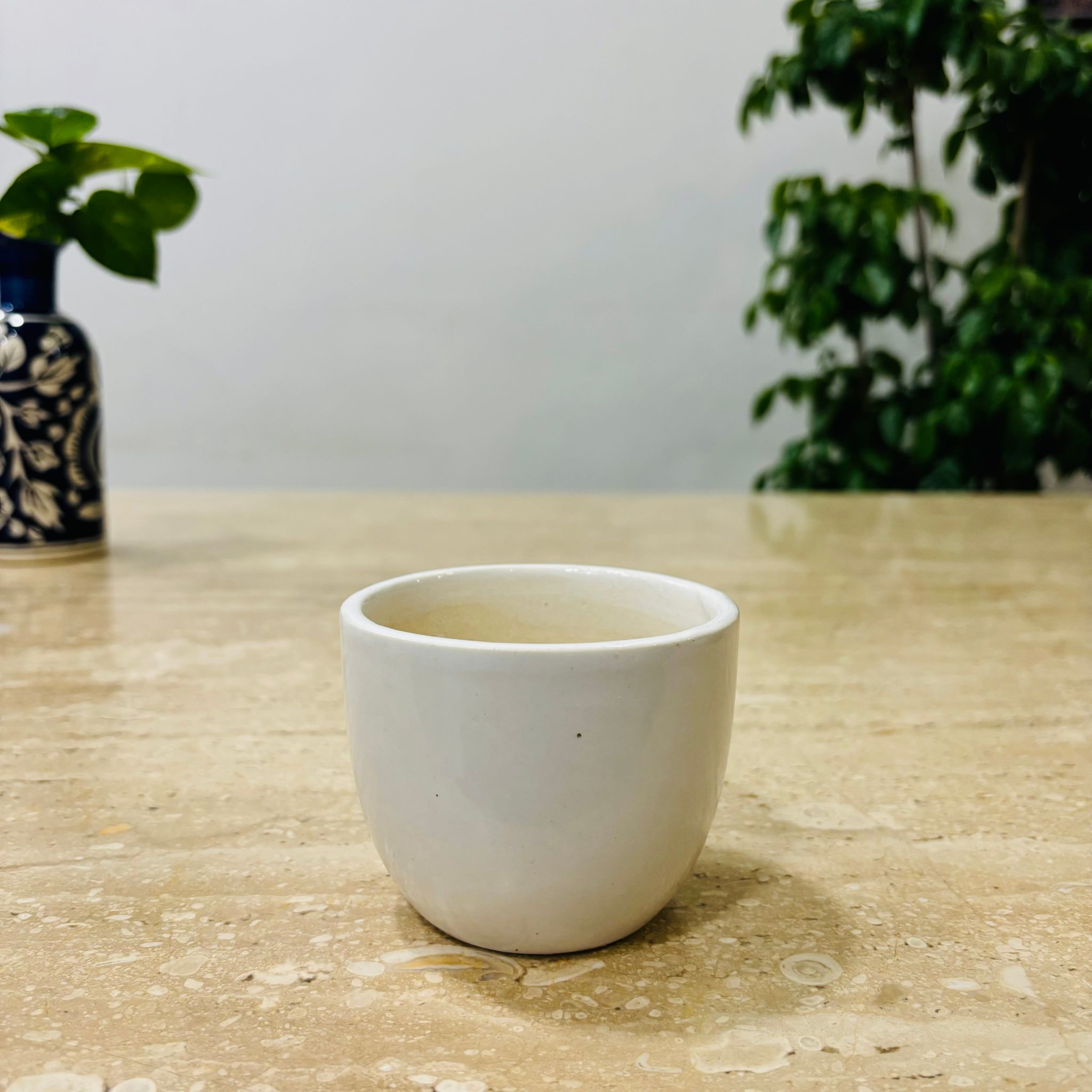 3 Inch White Classy Cup Ceramic Pot - Minimalist Glossy Succulent Pot