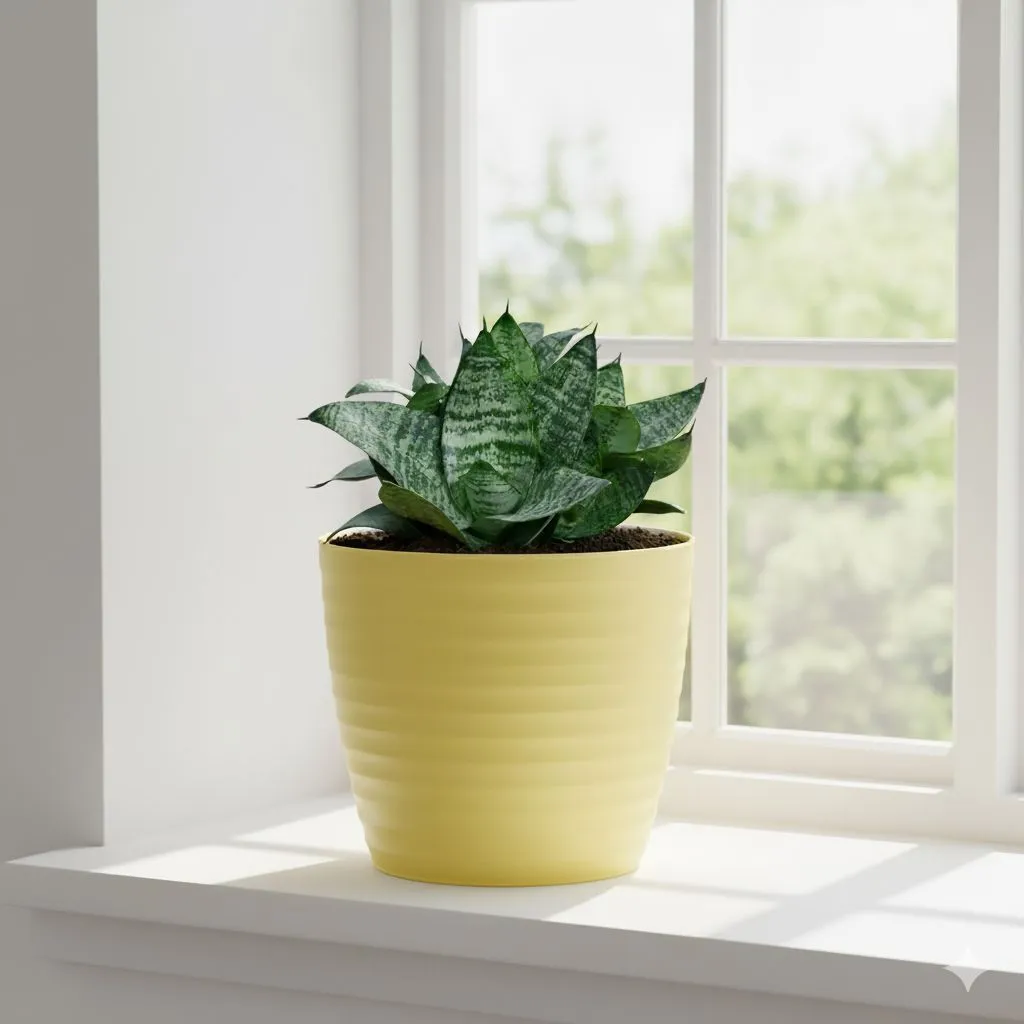Snake Dwarf Green in 5 Inch Bloom Yellow Avora Premium Plastic Planter