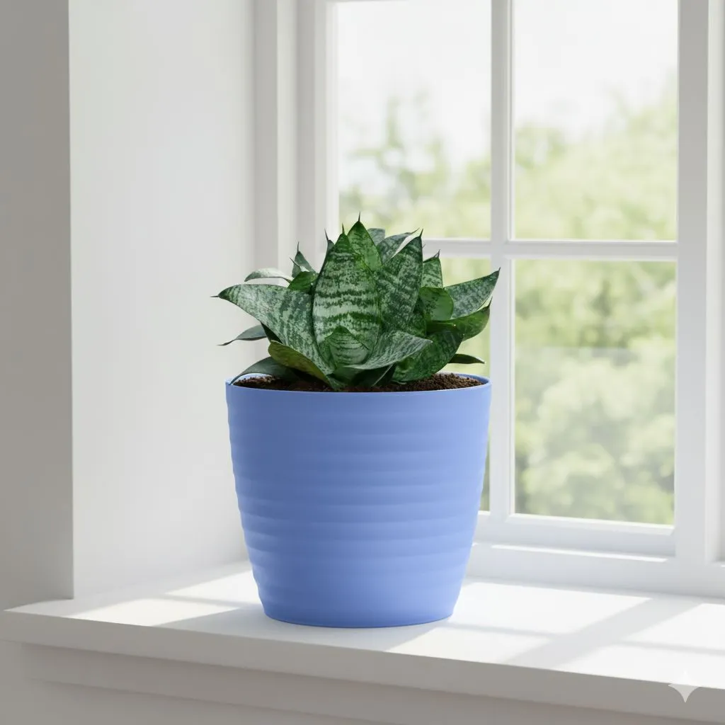 Snake Dwarf Green in 5 Inch Elvan Blue Avora Premium Plastic Planter