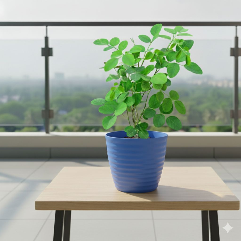 Aparajita Blue in 5 Inch Elvan Blue Avora Premium Plastic Planter