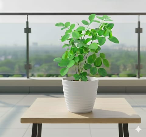 Aparajita Blue in 5 Inch White Avora Premium Plastic Planter