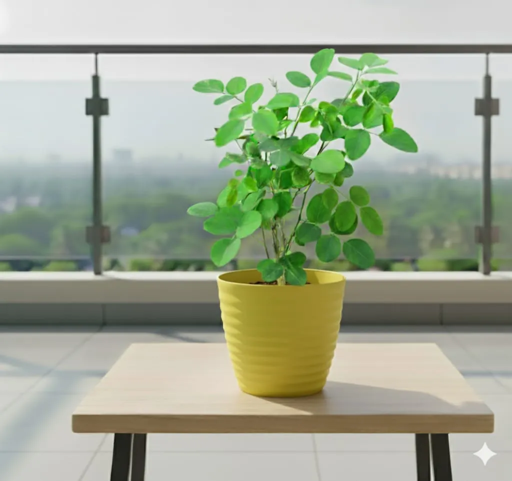 Aparajita Blue in 5 Inch Bloom Yellow Avora Premium Plastic Planter
