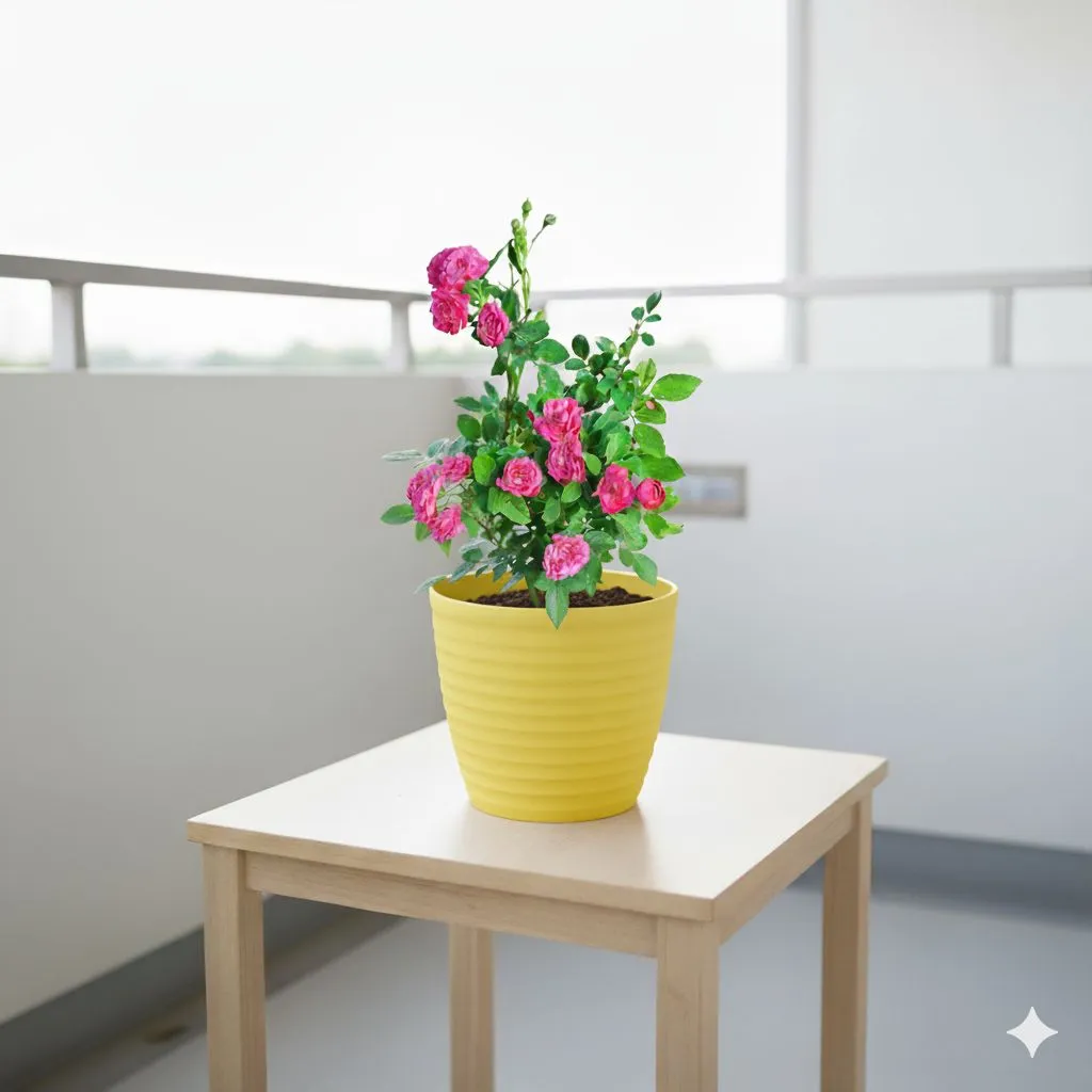 Button Rose / Gulab (any color) in 5 Inch Bloom Yellow Avora Premium Plastic Planter