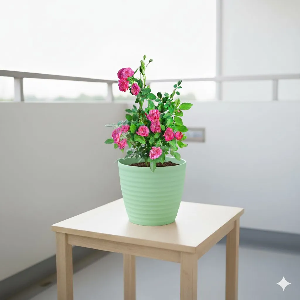 Button Rose / Gulab (any color) in 6 Inch Pastel Green Avora Premium Plastic Planter
